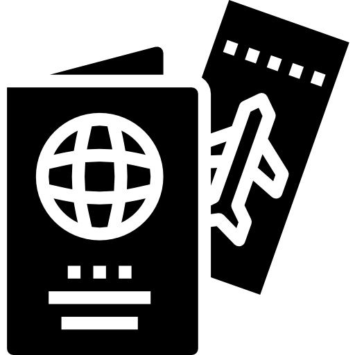 Visa Success Icon